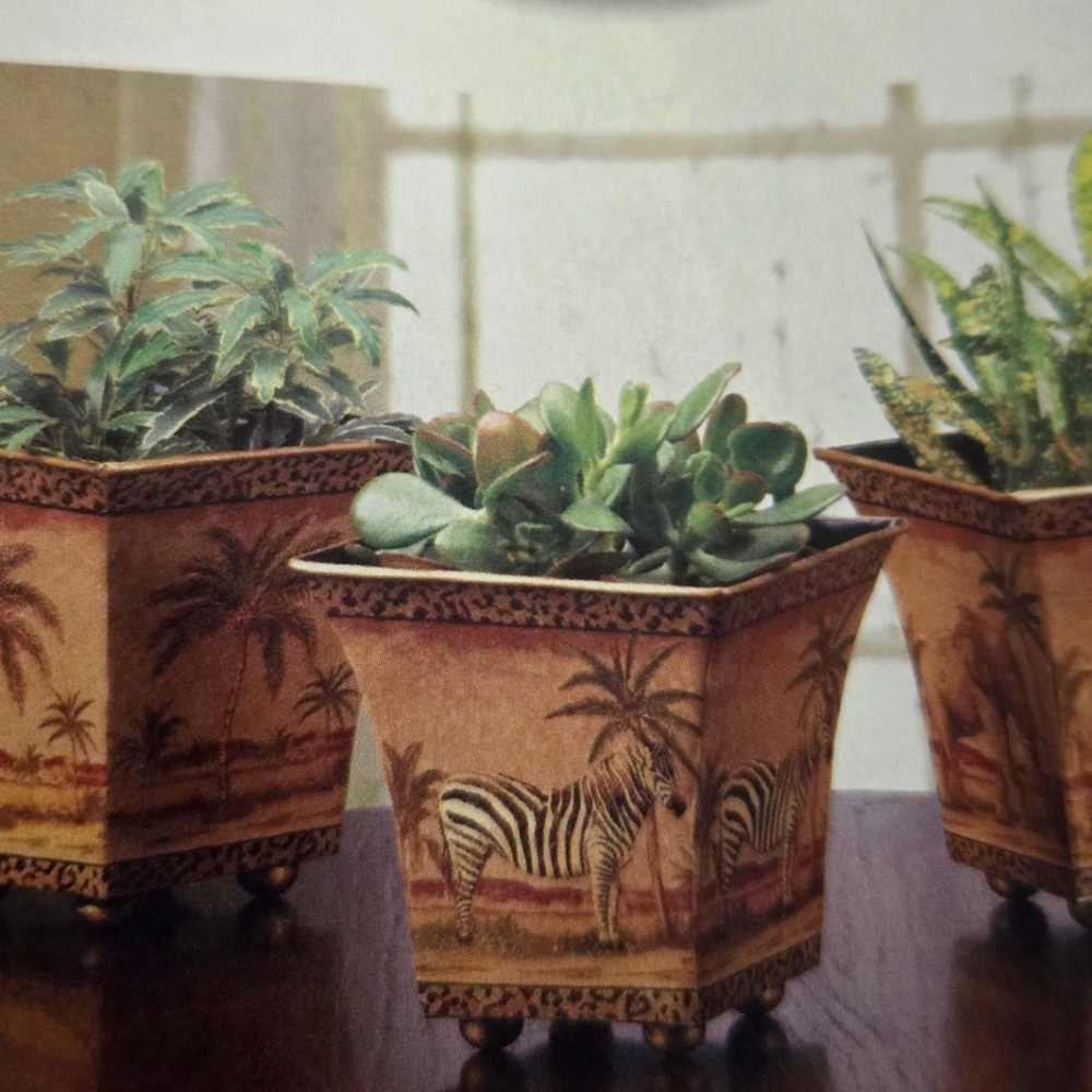 Set of 3 Safari Flower Pots (Plants not included) 51/2" x 51/2" x 5" high